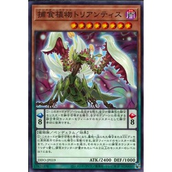 Lá bài thẻ bài Yugioh DIFO-JP019 - Predaplant Triantis