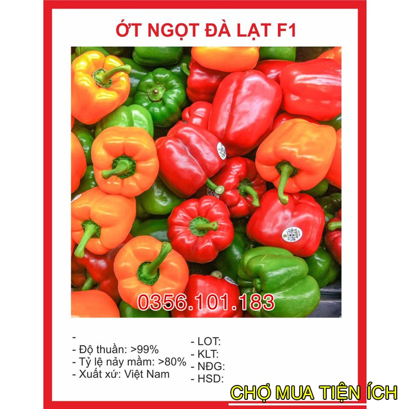 Hạt Giống Ớt Ngọt Đà Lạt Nhiều Màu 10 Hạt nhanh Thu Hoạch