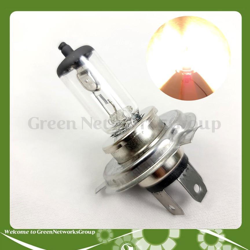 Bóng đèn pha Halogen Sun Shing chân H4 12V 35/35W Greennetworks