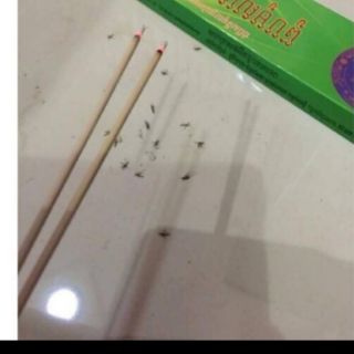 Nhang muỗi campuchia hàng loại 1 chết sạch muỗi hộp 30 cây