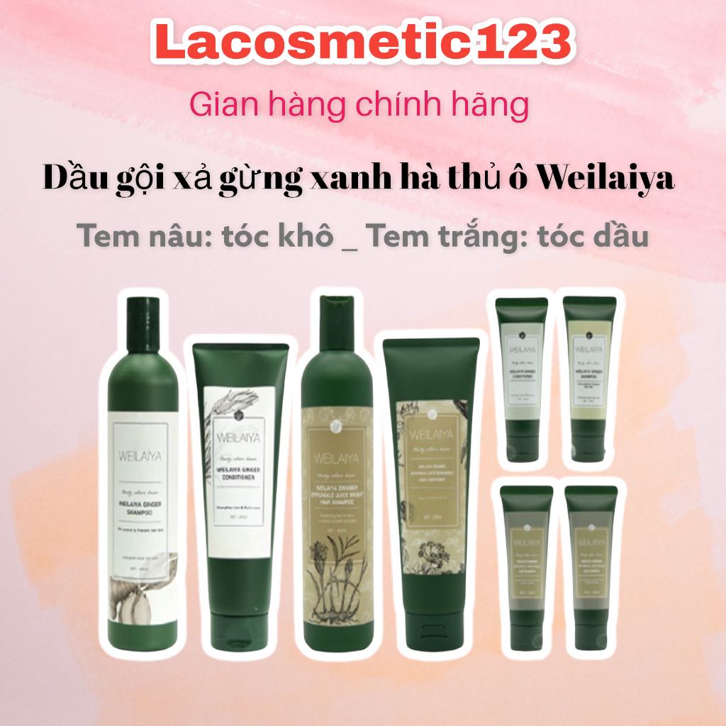 (CHÍNH HÃNG 100%) Bộ Dầu Gội Weilaiya Gừng Hỗ Trợ Mọc Tóc Ngăn Rụng Tóc - Cho Da Đầu Dầu