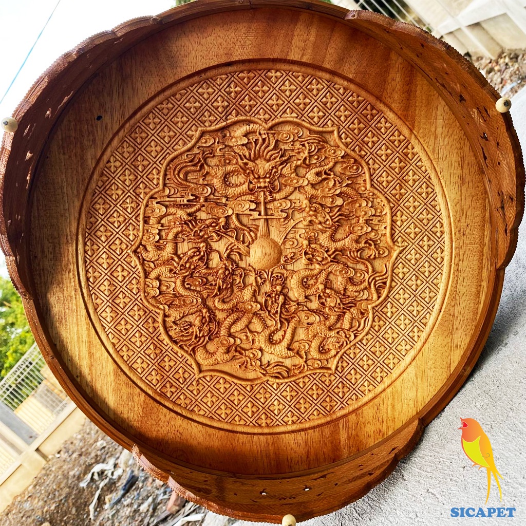 Lồng chim chòe than, chim chòe lửa, chim chích chòe, chim chào mào, Lồng nuôi chim chòe than, chim chòe lửa SICAPET