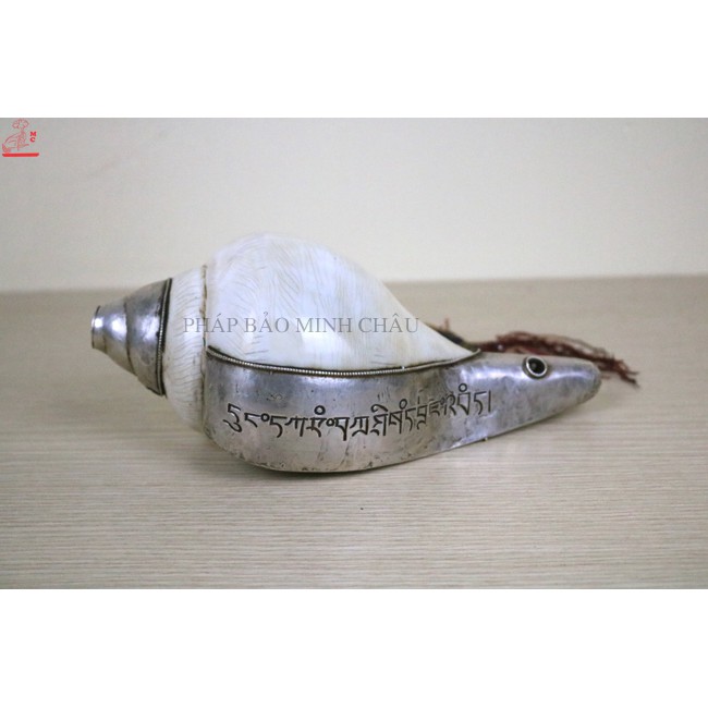 [PHÁP BẢO MINH CHÂU] ỐC NEPAL (NHƯ Ý CÁT TƯỜNG) - BỌC ĐỒNG CAO CẤP TRẮNG