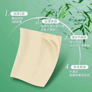 Giấy ăn gấu trúc