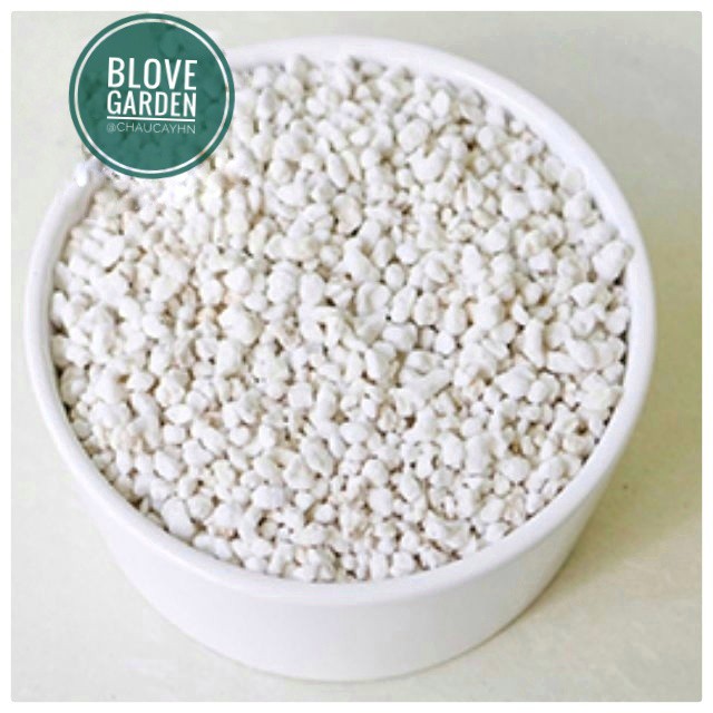 1 GÓI ĐÁ PERLITE (ĐÁ TRÂN CHÂU) chăm sóc cây trồng, sân vườn, tiểu cảnh, làm đất trồng sen đá, xương rồng