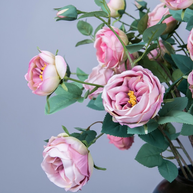 [Mã NGUY2612 giảm 10K đơn 100K]_HOA GIẢ_HOA LỤA Cành hoa hồng austin hoa lụa nhập khẩu cao cấp, hàng giống thật
