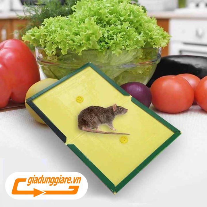 KEO DÍNH CHUỘT TOMCAT siêu dính , bẫy chuột an toàn không độc hại tái sử dụng nhiều lần - giadunggiare.vn