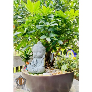 Tượng quán thế âm bồ tát an nhiên