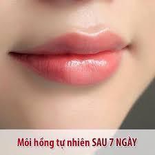 Son dưỡng môi Vaseline Original Lip Therapy