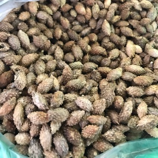 Ké đầu ngựa 1kg (Ké Trơn-Ké gai)