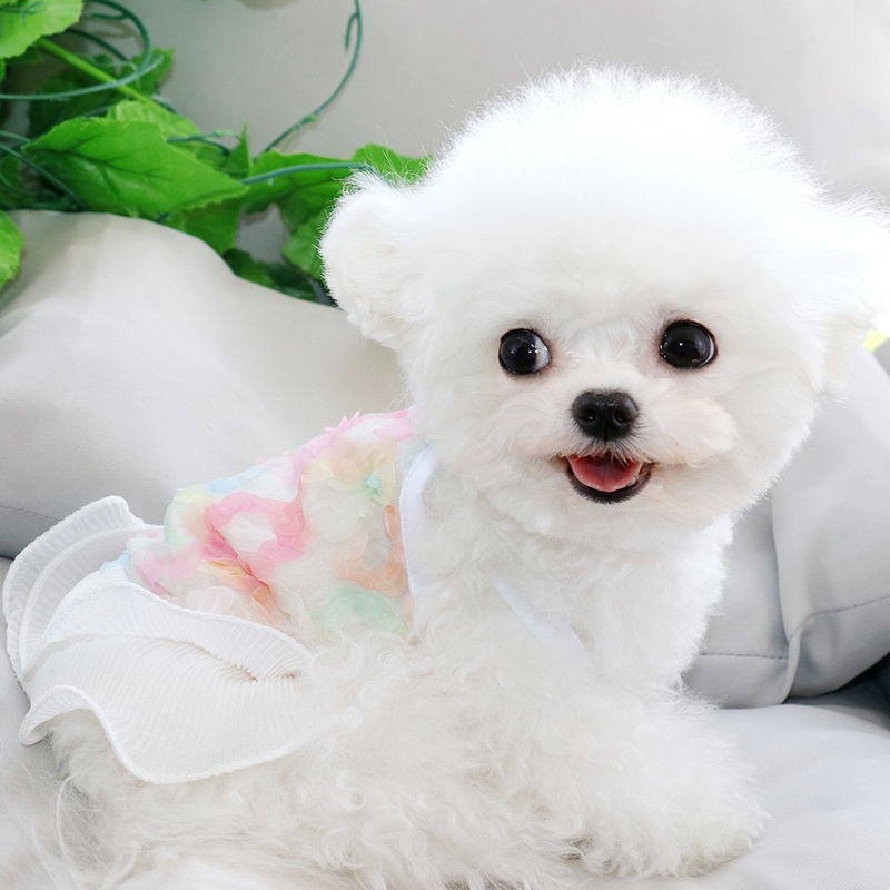 Đầm Hai Dây Thời Trang Xuân Hè Xinh Xắn Cho Thú Cưng