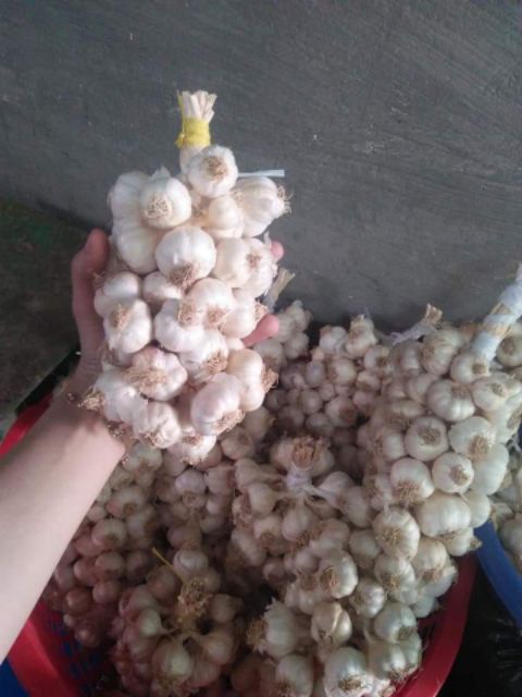 1kg tỏi Phan Rang