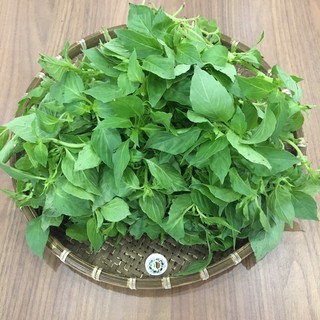 2gr - HẠT GIỐNG HÚNG TRẮNG ( RAU THƠM SẢ)