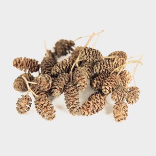 TRÁI ALDER CONES - CÂN BẰNG PH ỔN ĐỊNH VI SINH KÍCH THÍCH SINH SẢN CHO TÉP
