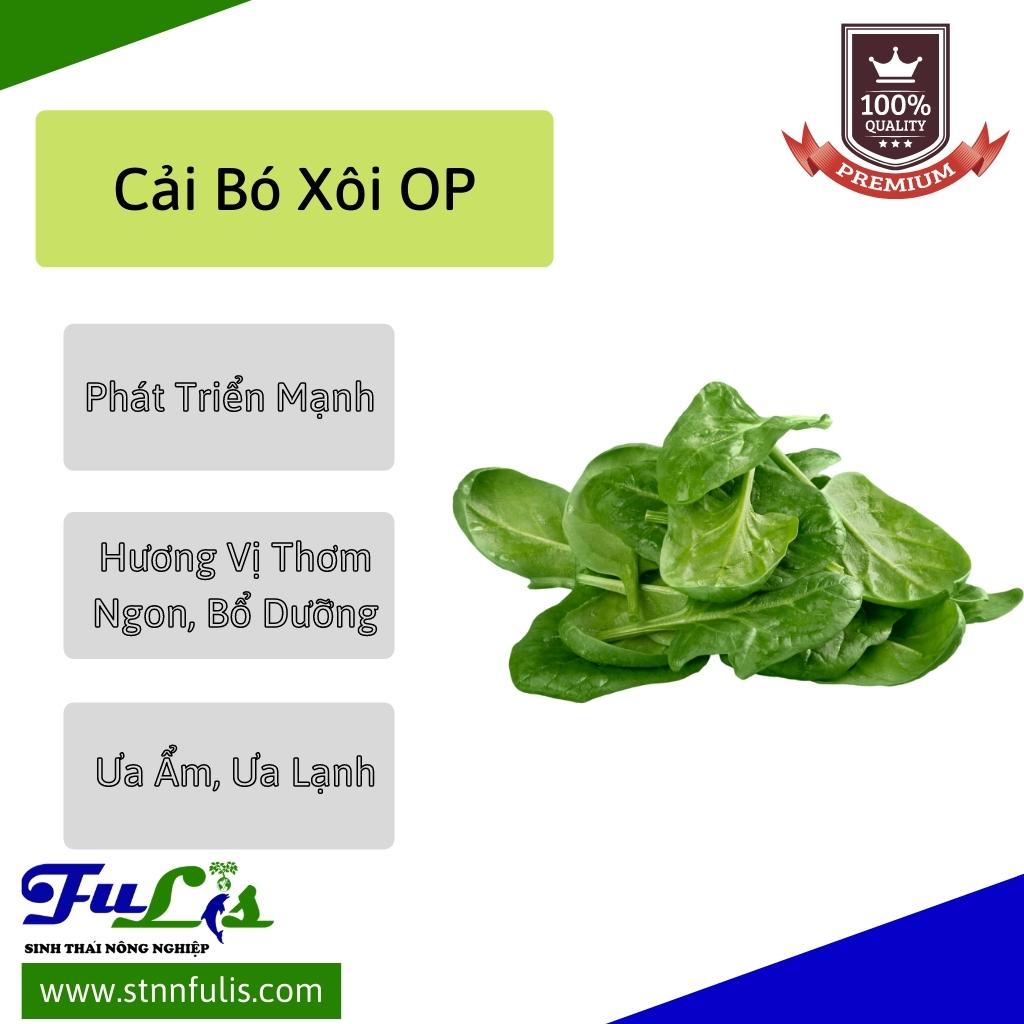 Hạt Giống Cải Bó Xôi OP - Cải Bó Xôi Chịu Lạnh  - Cây Rau Giàu Chất Dinh Dưỡng Phát Triển Nhanh - stnnfulis