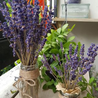 Bình hoa oải hương mini để bàn - Nk Pháp