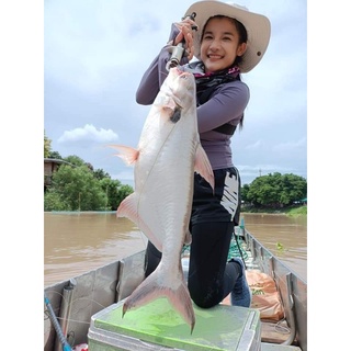 TINH MÙI CÂU CÁ TRA MAYME