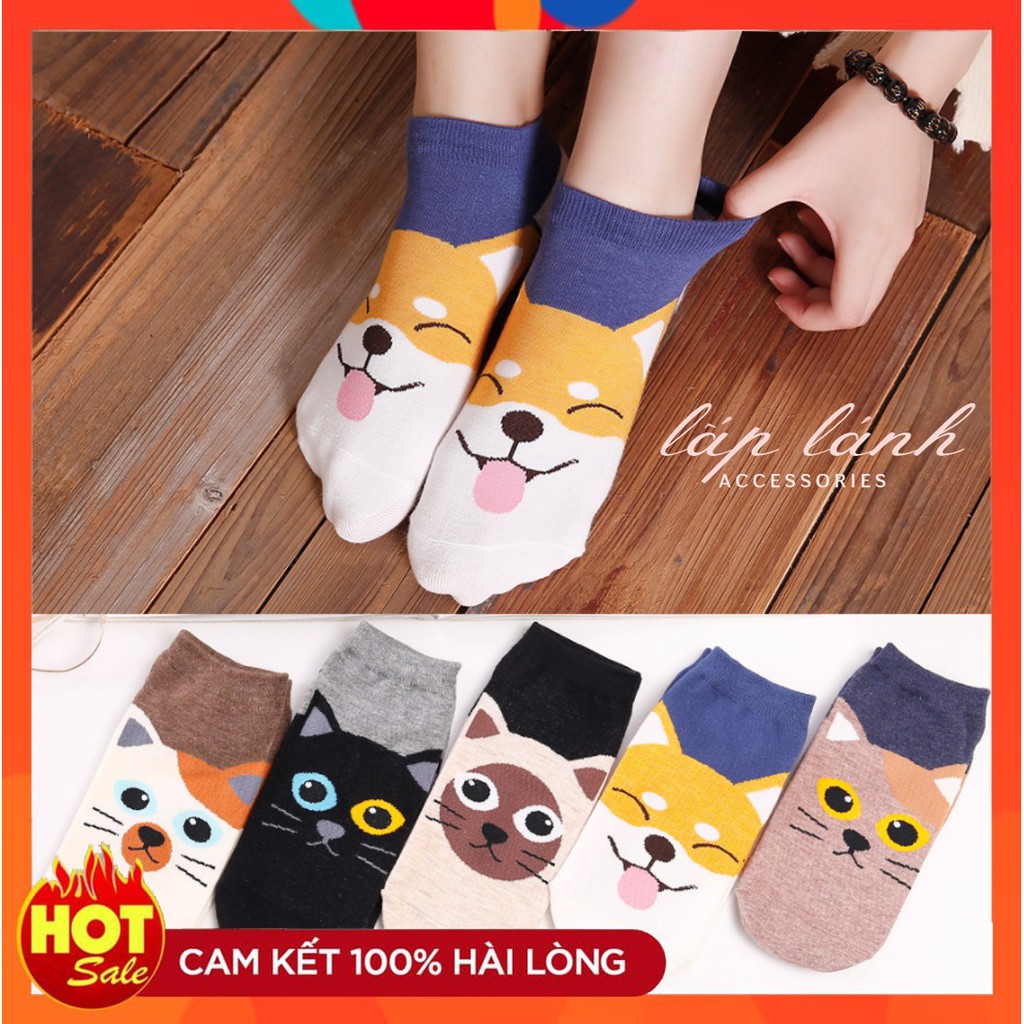 [Có sẵn] TẤT VỚ CỔ NGẮN MIỆNG CẠN HÌNH GẤU, MÈO, HỌA TIẾT ĐỘC LẠ ẤM ÁP DỄ THƯƠNG PHONG CÁCH HÀN QUỐC GIÁNG SINH VOC02