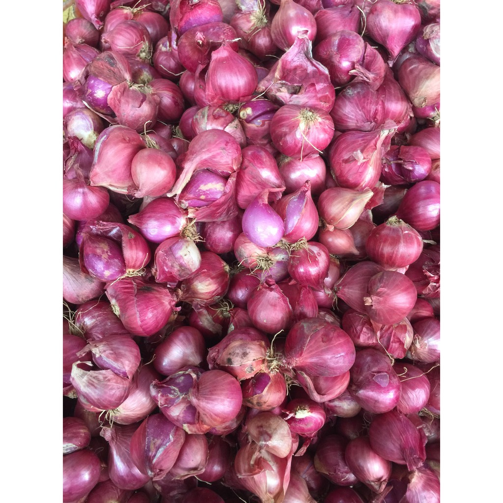 Hành tím Phan Rang Ninh Thuận thơm ngon củ to tròn chuẩn vị gói 500g