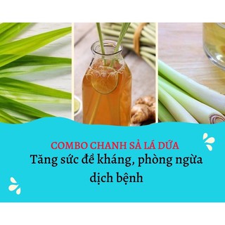 Trà Chanh Sả-Lá Dứa Nếp Thơm