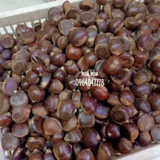 Hạt dẻ tươi 1kg