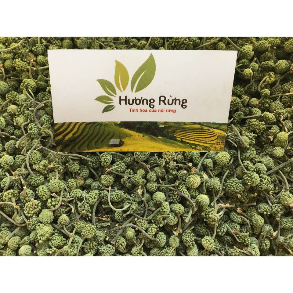 NỤ TAM THẤT 100G