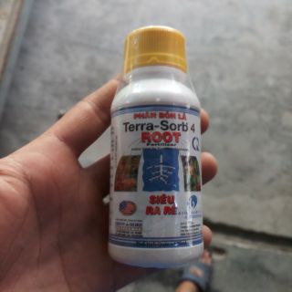 Thuốc kích rễ cho lan siêu nhanh terra sorb 4 root