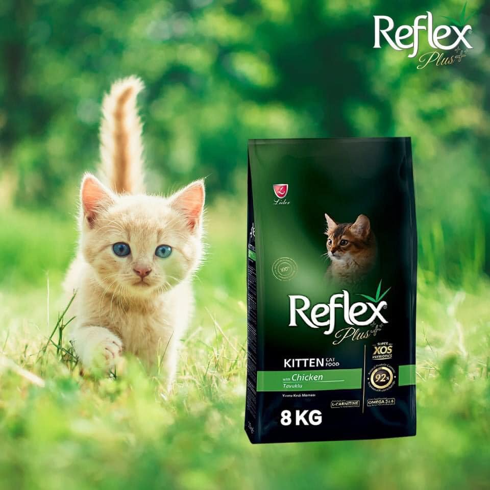[1.5kg] Reflex Plus Kitten Chicken - Hạt khô dành cho mèo con vị Gà
