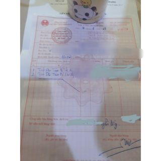 TINH DẦU TRÀM CHAI 50ml