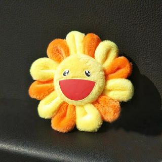 HOA MẶT CƯỜI BẢY MÀU