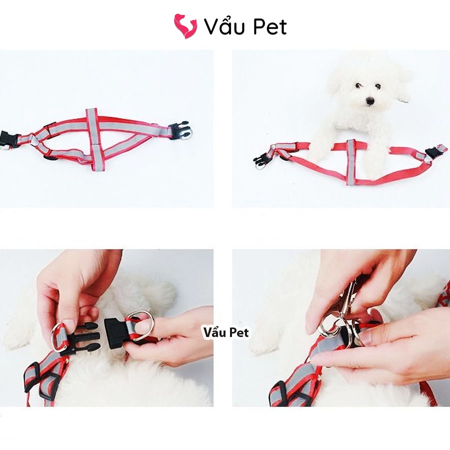 Xích yên ngựa phản quang tết thừng