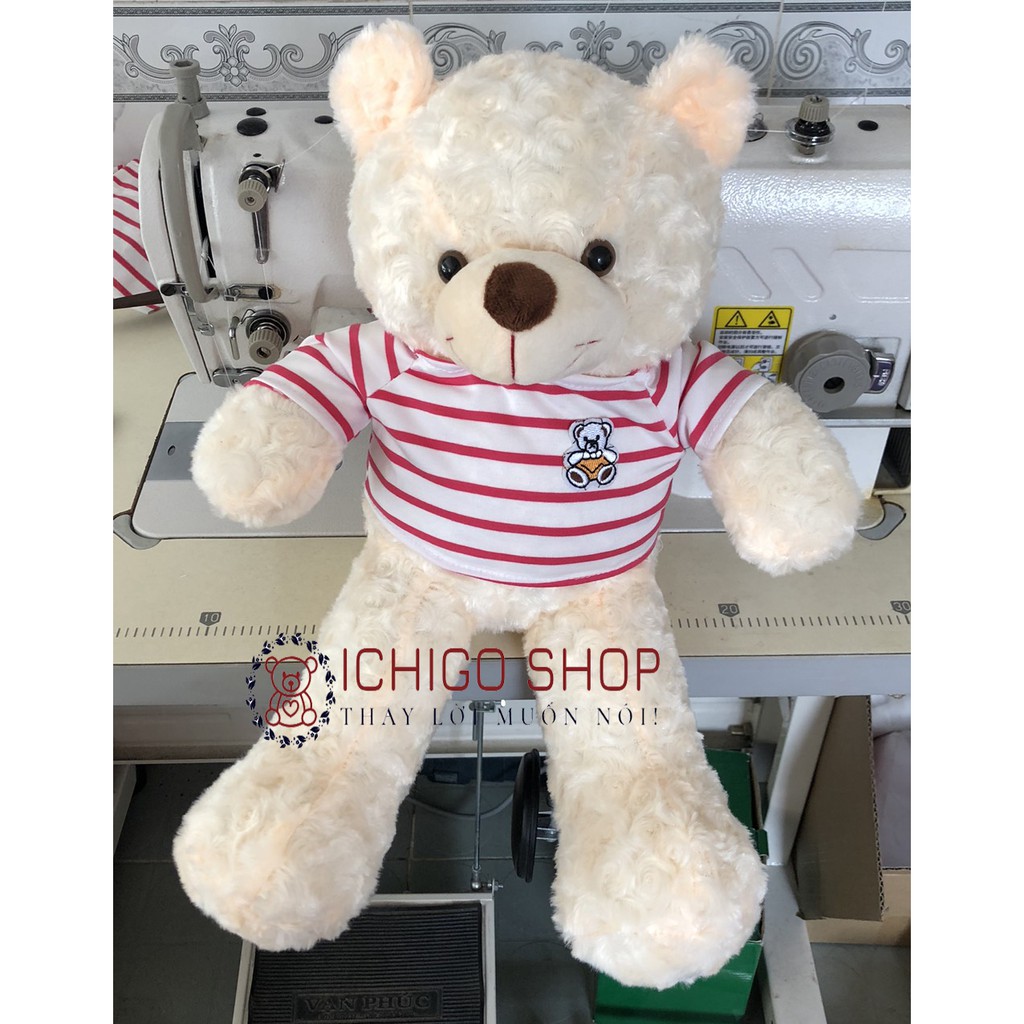 GẤU BÔNG TEDDY CAO CẤP KHỔ VẢI 50CM MÀU KEM