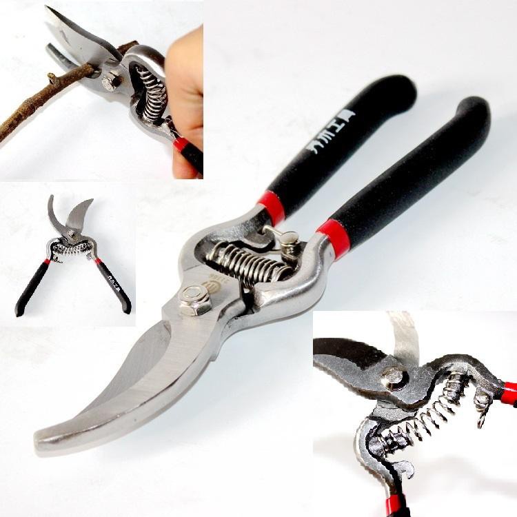 KÉO CẮT TỈA CÀNH CÂY LƯỠI CONG