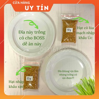BỘ TRỒNG CỎ LÚA MẠCH ÉP NƯỚC (Cỏ nhập khẩu Úc)