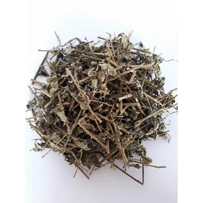 Cà gai leo khô 1 kg loại 1 | BigBuy360 - bigbuy360.vn