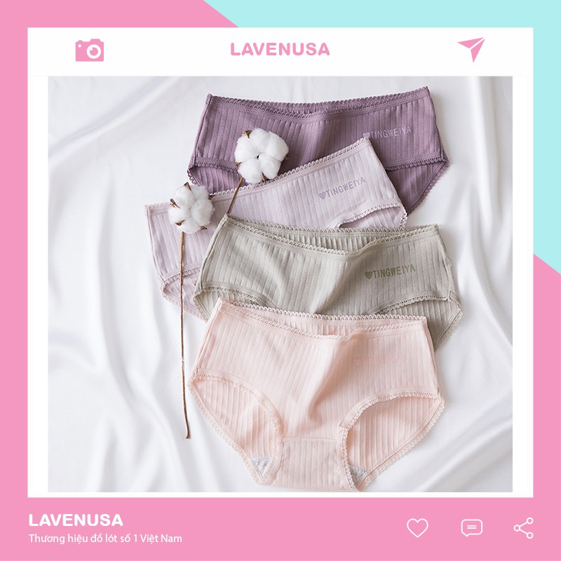 Quần lót nữ cotton cao cấp viền ren kháng khuẩn siêu đẹp QL42