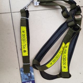 Dây dắt chó mèo size đại cho chó to