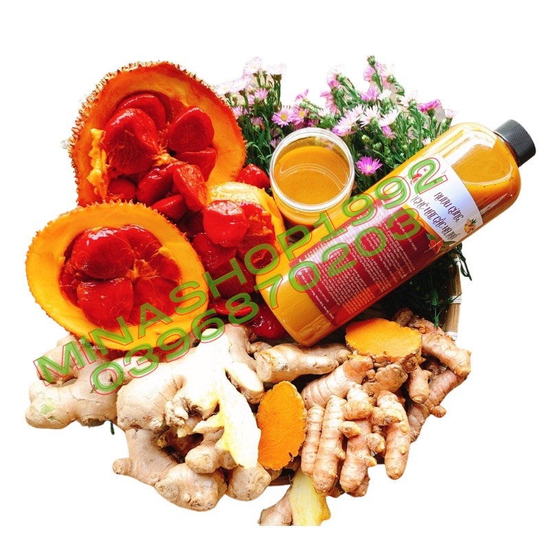 CỐT GỪNG NGHỆ HẠT GẤC HẠ THỔ - Lấy Lại Thanh Xuân Cho mẹ Bầu Sau Sinh