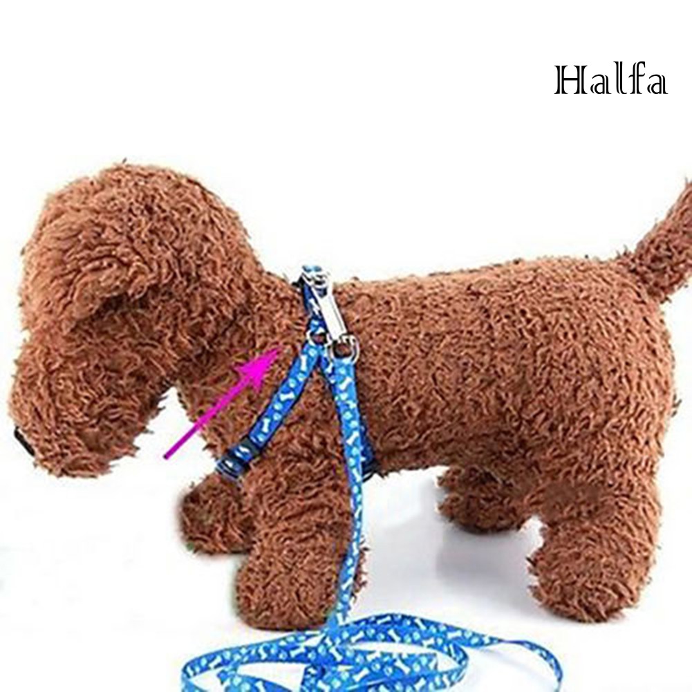 Dây Đeo Cổ Có Thể Điều Chỉnh Kích Cỡ Tiện Dụng Cho Thú Cưng