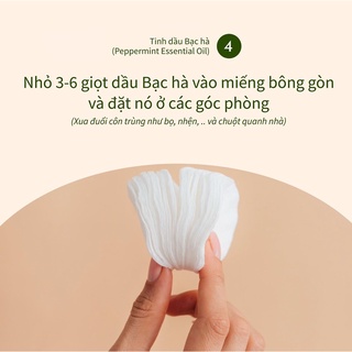 Tinh dầu bạc hà 100ml, hương thơm tươi mát, dễ chịu, tỉnh táo, chiết xuất từ thiên nhiên