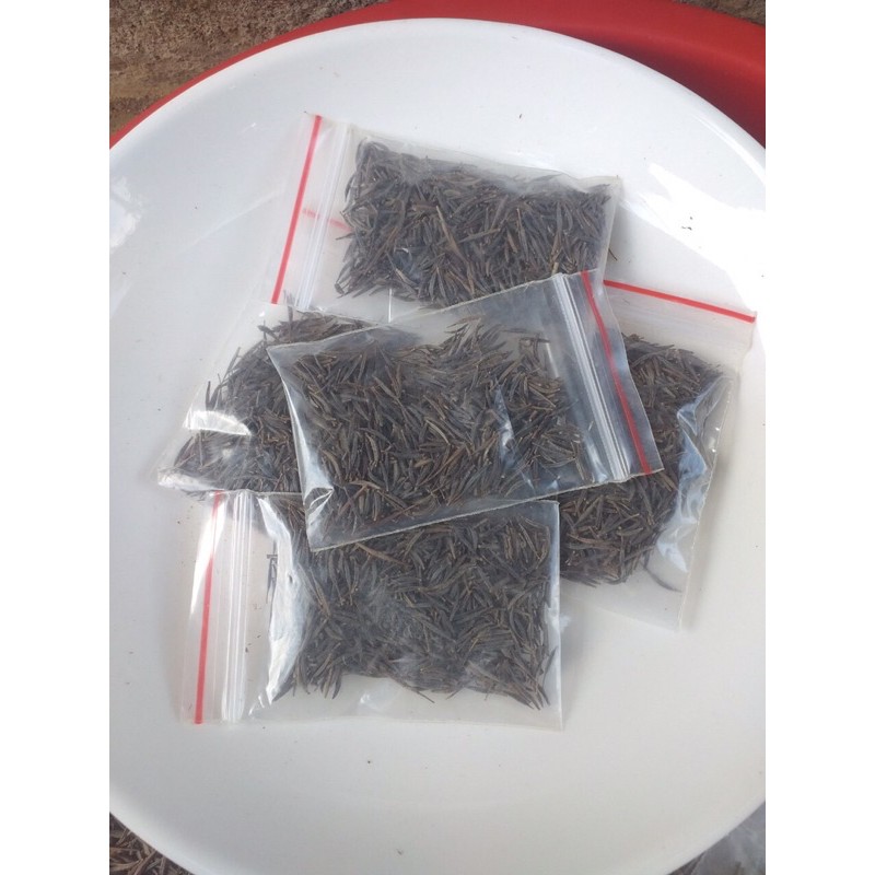 Hạt giống hoa sao nhái mix 9 màu