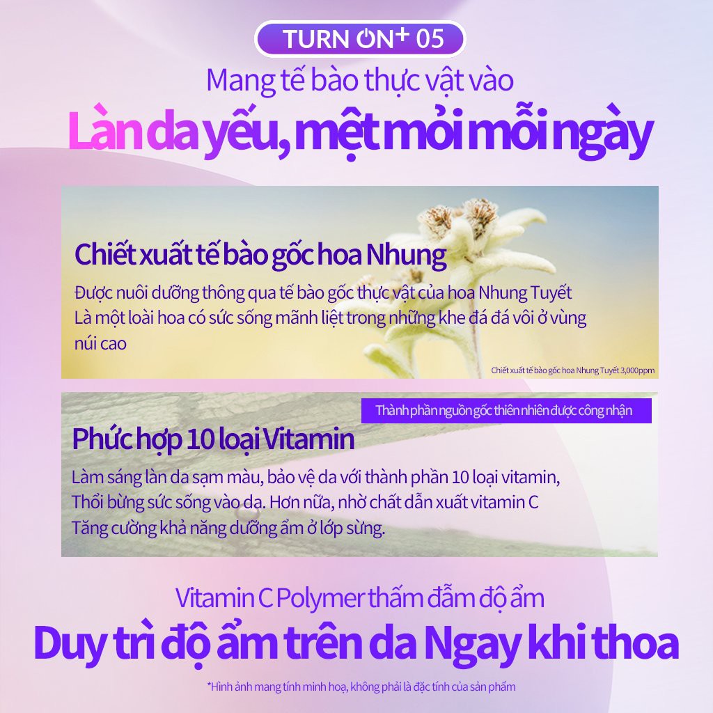 Kem Dưỡng Nâng Tone Da DewyCel Turn On Cream GomiMall | BigBuy360 - bigbuy360.vn