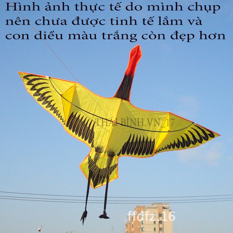 DIỀU SẾU ĐẦU ĐỎ - DIỀU HỒNG HẠC 2 MÉT