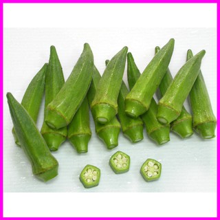 [ Hạt giống Rau] GÓI 20GR HẠT GIỐNG ĐẬU BẮP CAO SẢN SV NO 1 TAY LÁ TÍM - Mina Shop