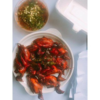 CHIM CÚT QUAY LÁ MÓC MẬT KHAY 10 CON
