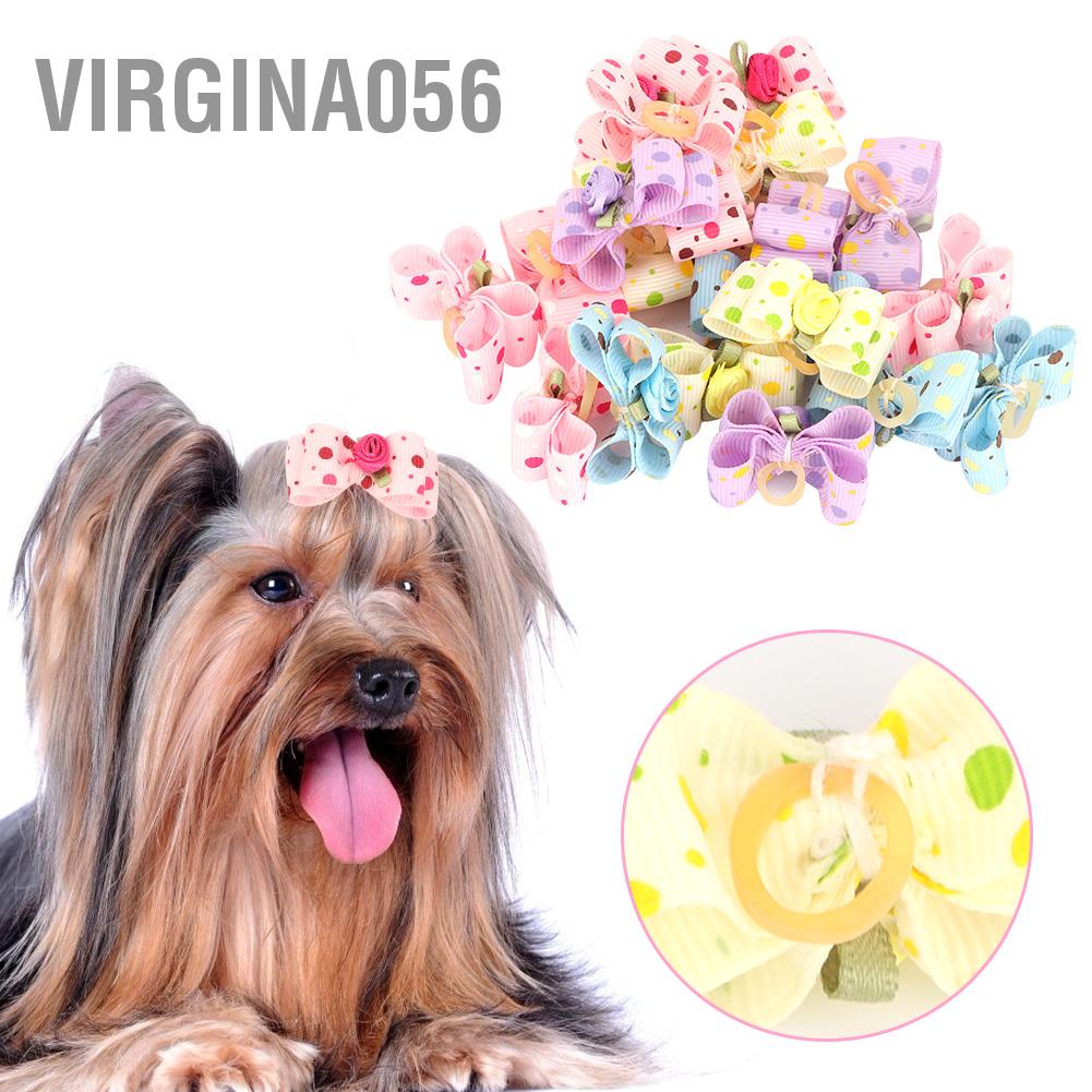 Hàng Hot 20 cái Nơ cài tóc cho chó với dây thun cho thú cưng Cún con Teddy Phụ kiện chải lông Màu sắc ngẫu nhiên Hàng giao ngayVirgina056