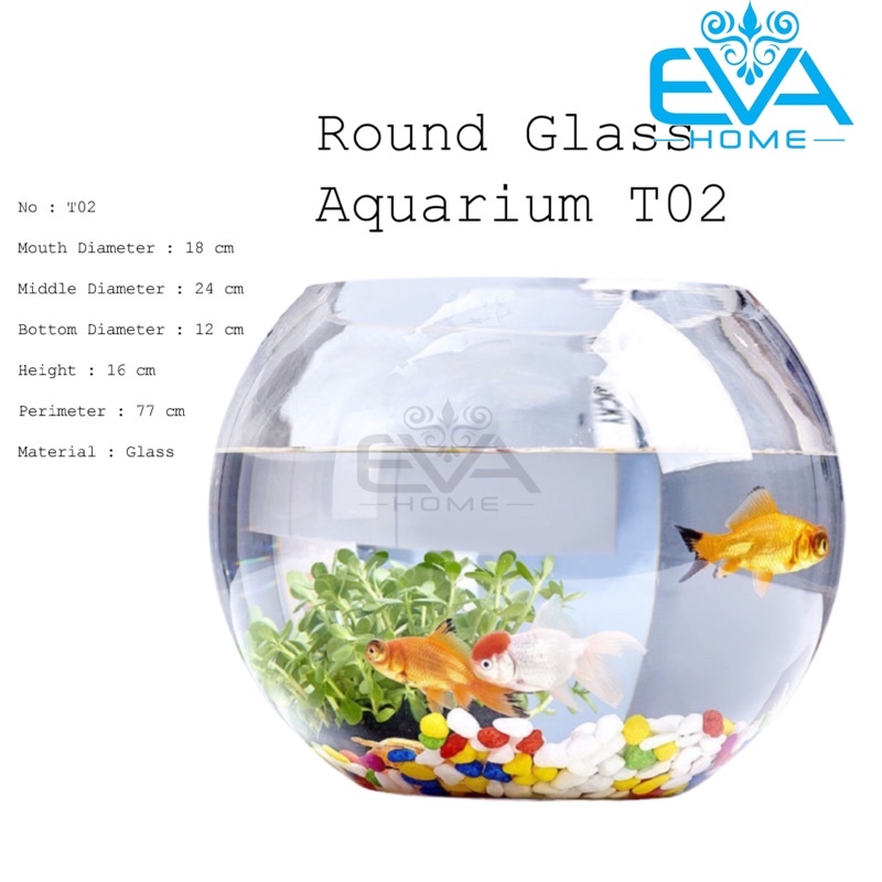 Chậu Thuỷ Tinh Dùng Làm Hồ Cá Bể Cá Để Bàn Dáng Tròn Bầu T02  Round Glass Aquarium Size 24 x 16 Cm