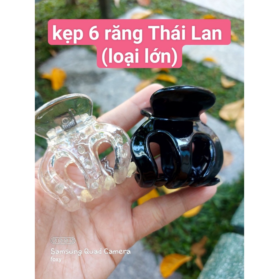 Kẹp càng cua 6 RĂNG Thái Lan  , Hàng loại 1