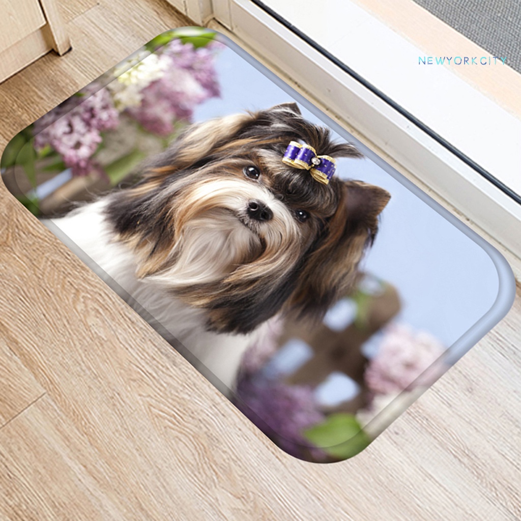 Thảm Chùi Chân Chống Ẩm Siêu Thấm Hút Tiện Dụng Cho Gia Đình