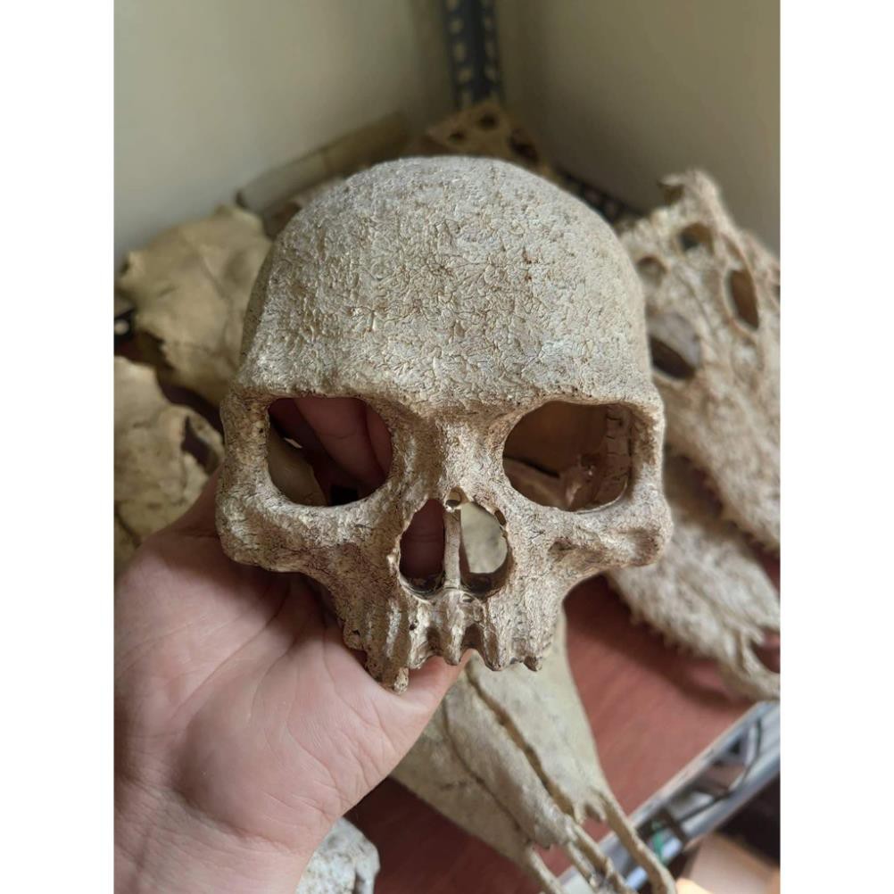 Phụ kiện Mô hình đầu sọ bằng nhựa trang trí chuồng .( Pet Khu vườn )